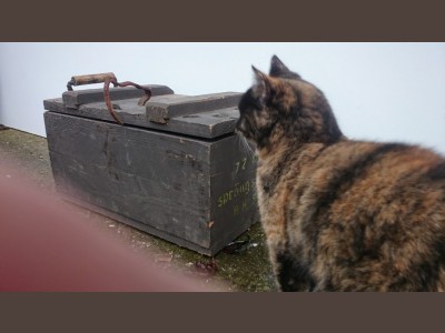 Ammunitionkasse til 10 kg sprængstof